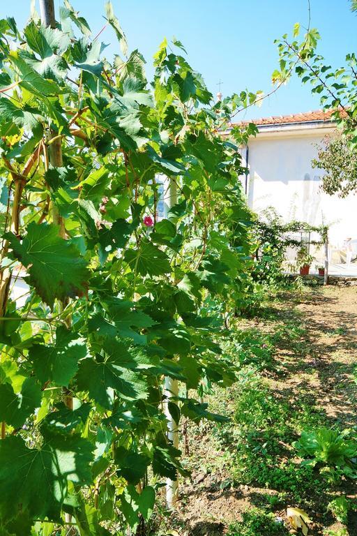 Agriturismo Costamagna Noli Luaran gambar